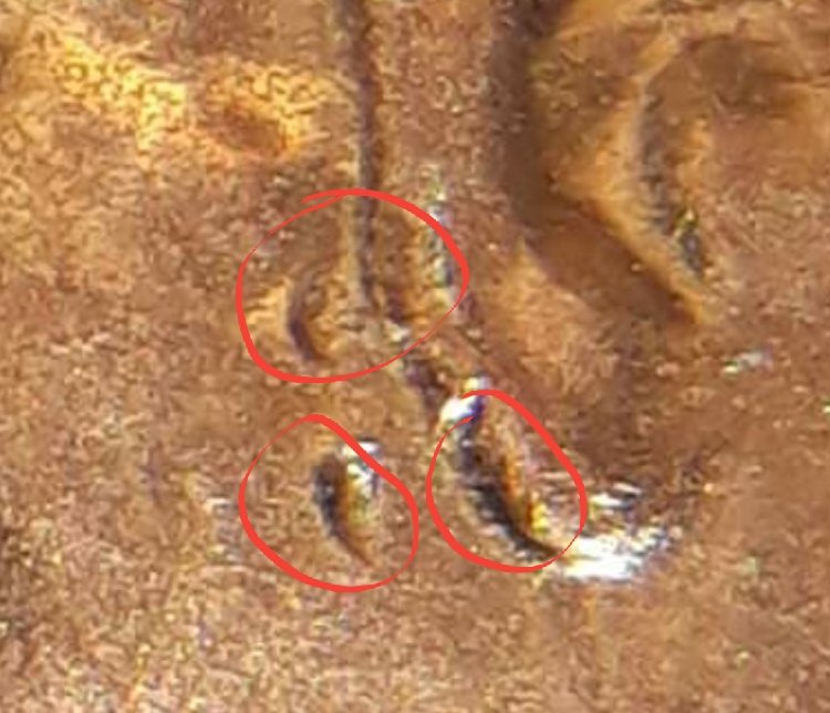 Lincoln-Penny-2019-P-Double-Ear-?